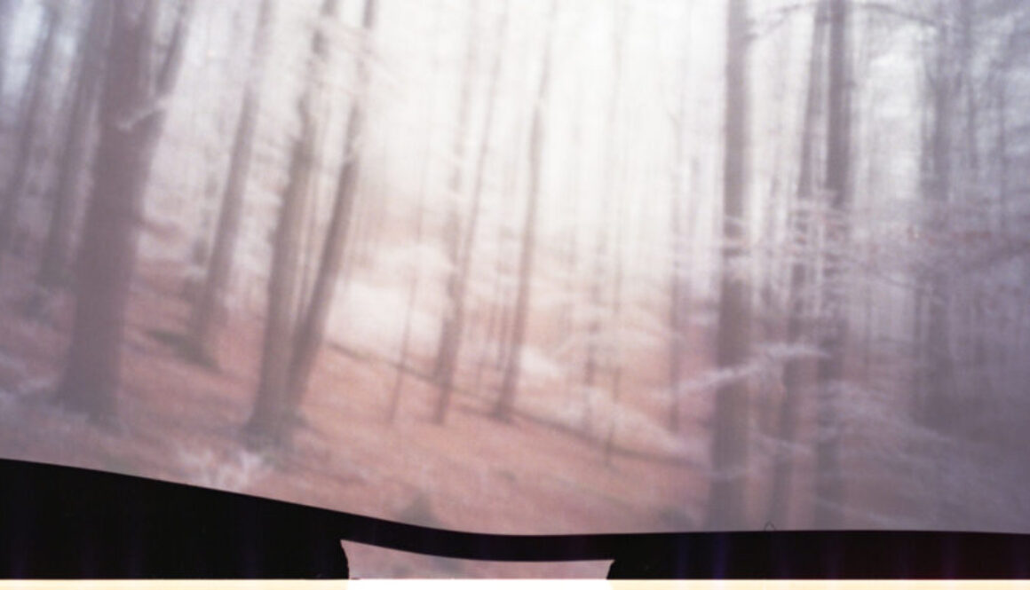 pinhole_firsttry05